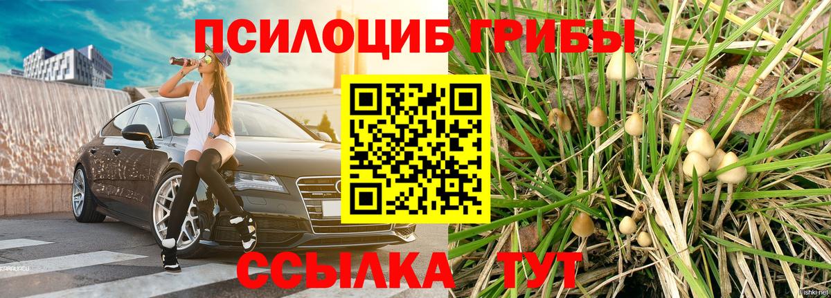 Галлюциногенные грибы Psilocybe  Вход с VPN  Сосновоборск 